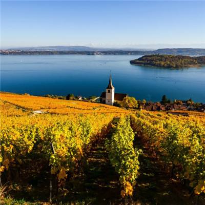 pg电子最新网站入口