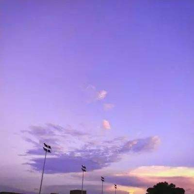 ag真人平台官方