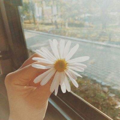 yabo888vip手机app下载