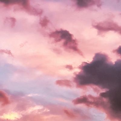 365体育手机版app下载