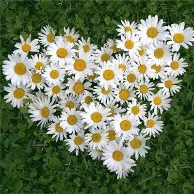 365体育手机版app下载截图